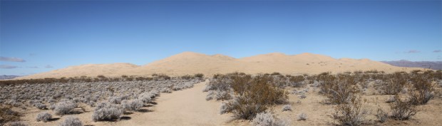 kelsodunes